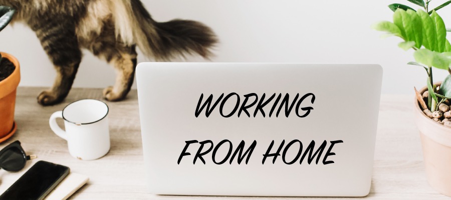 Work from home 