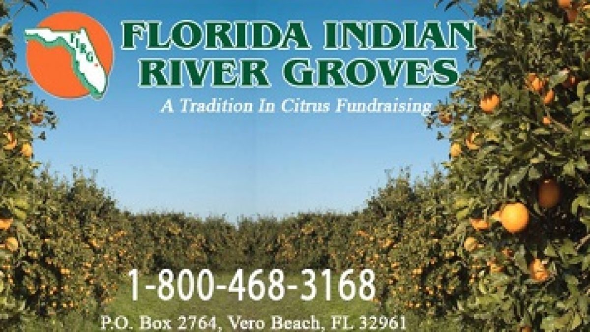 Florida-Indian-River-Groves