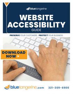 Website Accessibility Guide Download